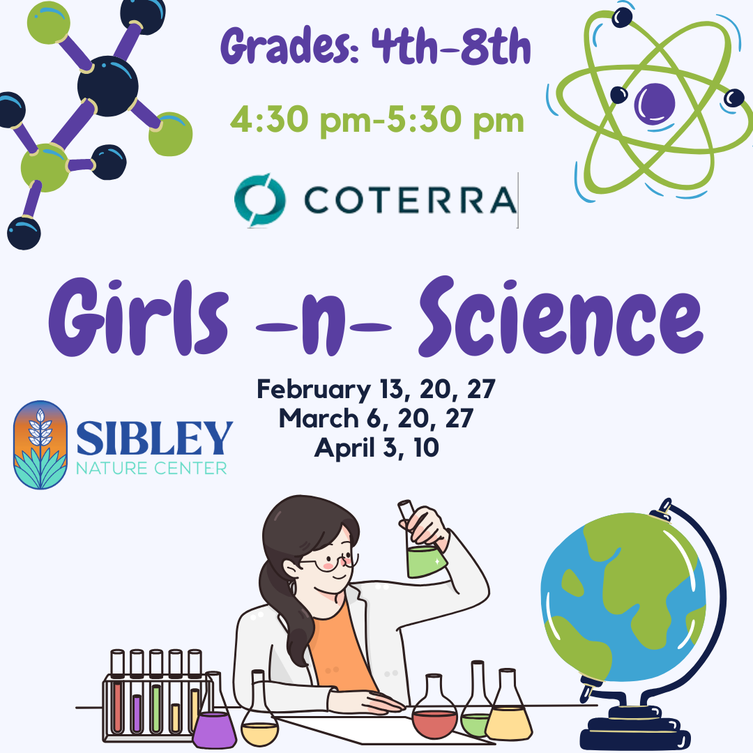 Girls-N-Science - logo